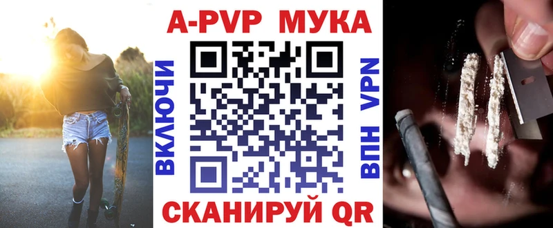 A PVP СК КРИС  где найти   Светлогорск 