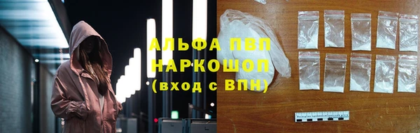 прущие грибы Балабаново