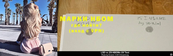 прущие грибы Балабаново