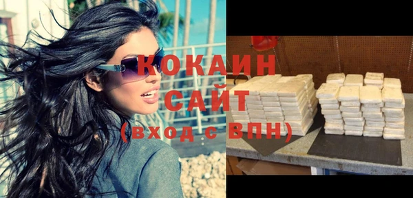 прущие грибы Балабаново